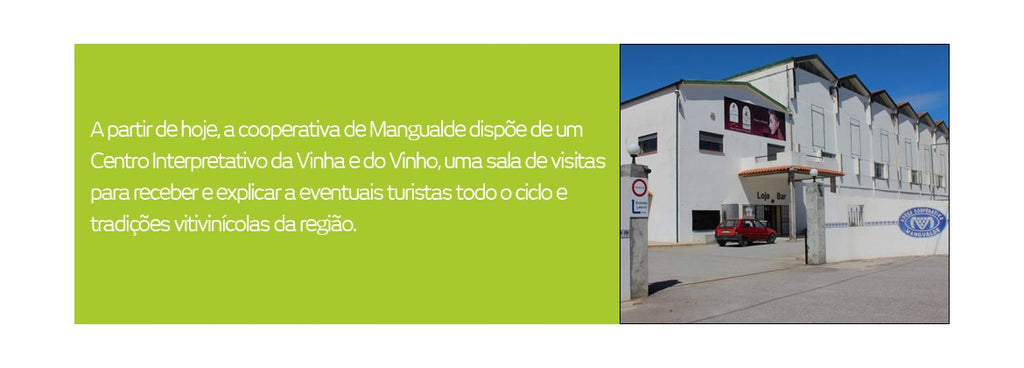 Mangualde tem nova casa do vinho