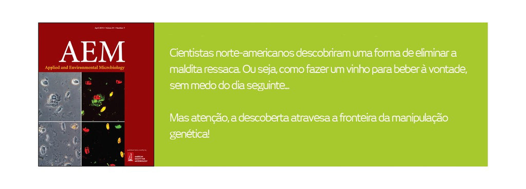 Levedura geneticamente manipulada para eliminar a ressaca