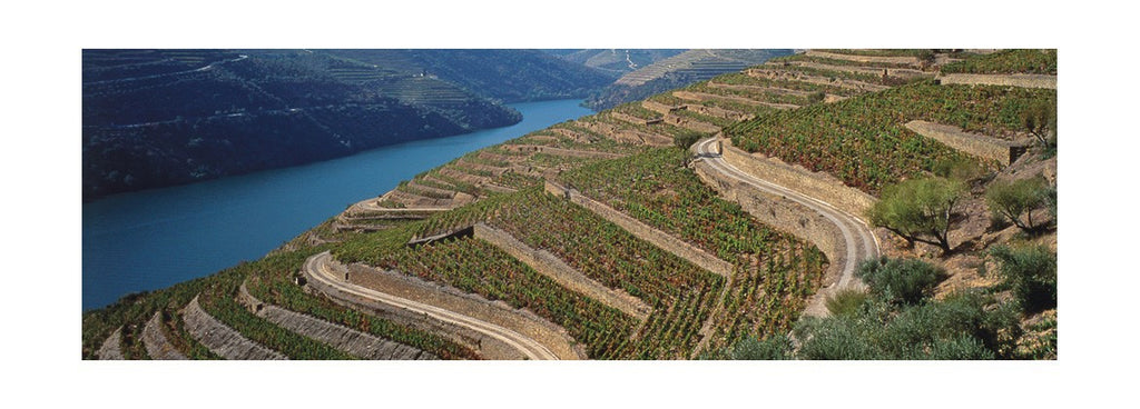 70 produtores no festival do douro superior