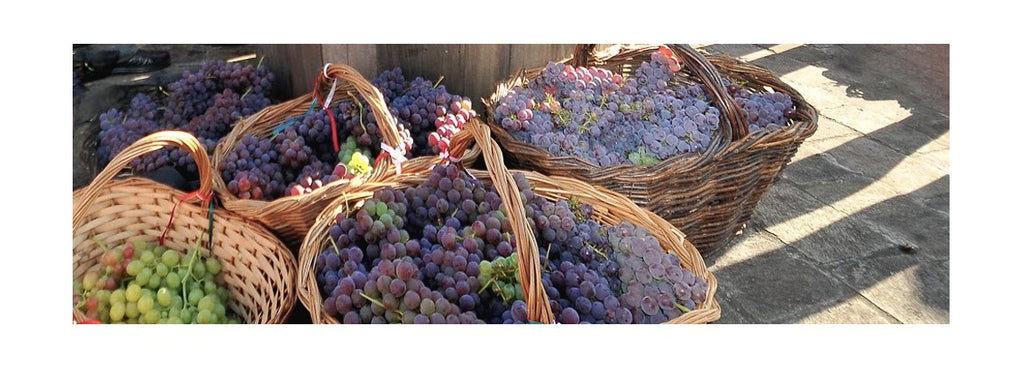 Madeira pretende estender festa do vinho a toda ilha