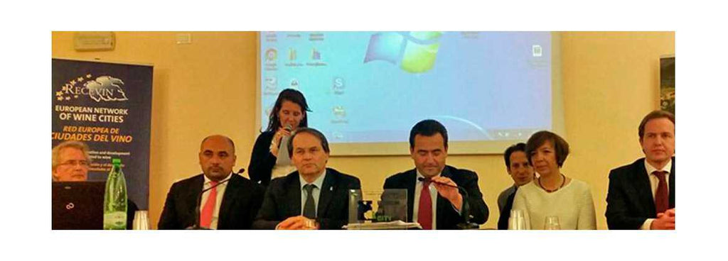 Novo presidente da rede europeia de cidades do vinho é português