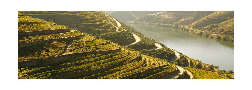 Foz Côa volta a receber o Festival do Vinho do Douro superior