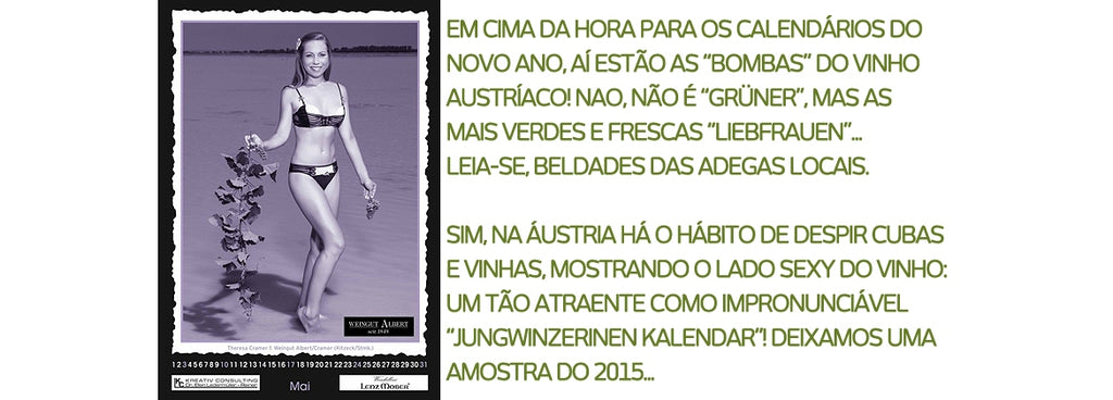 As belezas do vinho austríaco