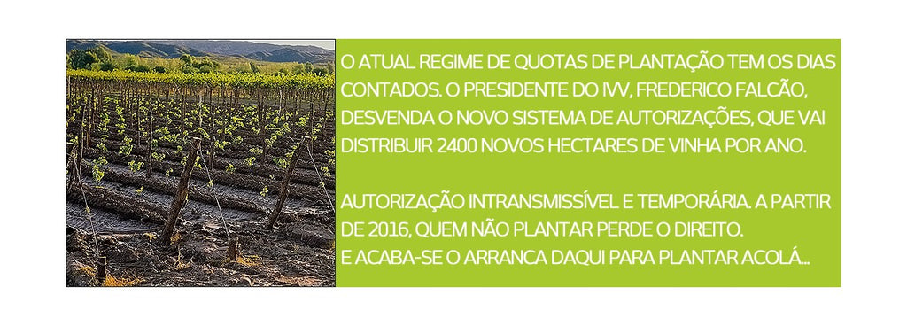 Direito de plantação intransmissível e válido por 3 anos!