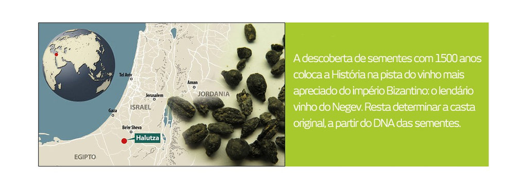 Arqueologia na pista do lendário vinho do Negev