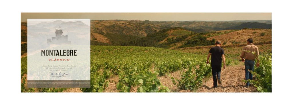 Nova marca de vinhos de montanha estagia a 1000 metros de altitude