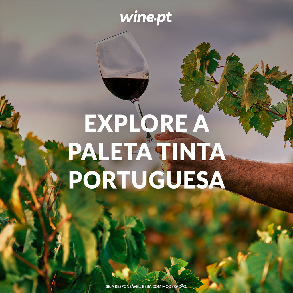 Entre Vinhas e Tradições: As Castas Tintas que Moldam o Vinho Português