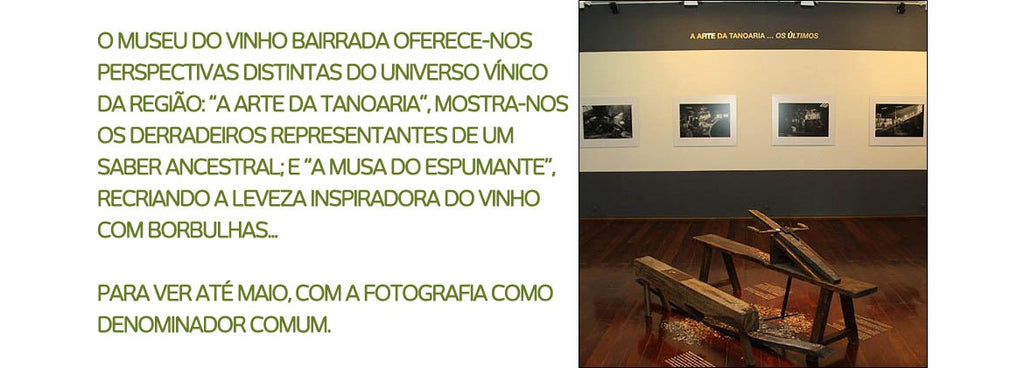 Museu do vinho Bairrada: exposição 2 em 1