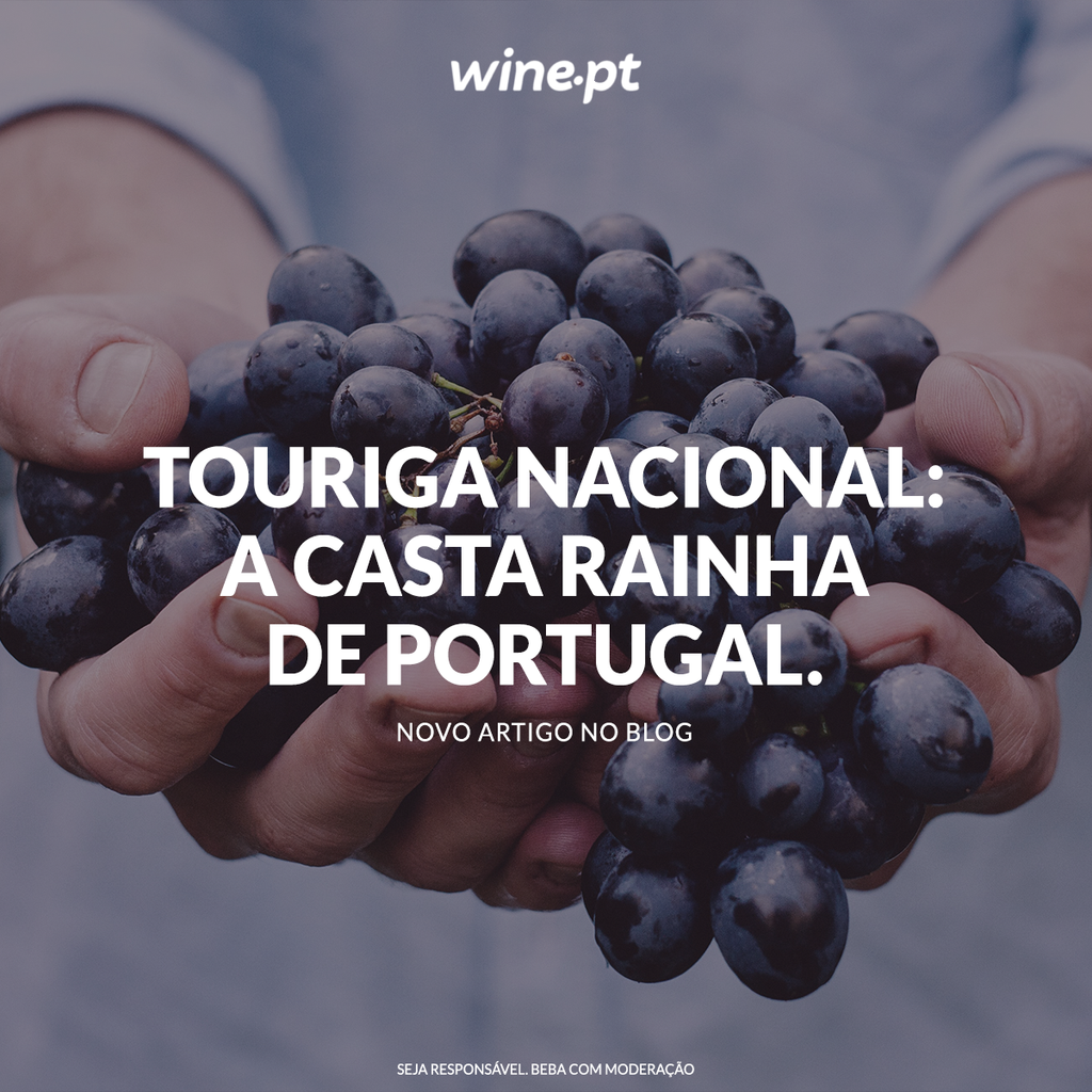 Touriga Nacional: a casta rainha de Portugal.