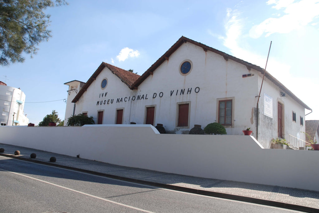 Museu do vinho de Alcobaça recebe colóquio ibero-americano sobre património cultural do vinho