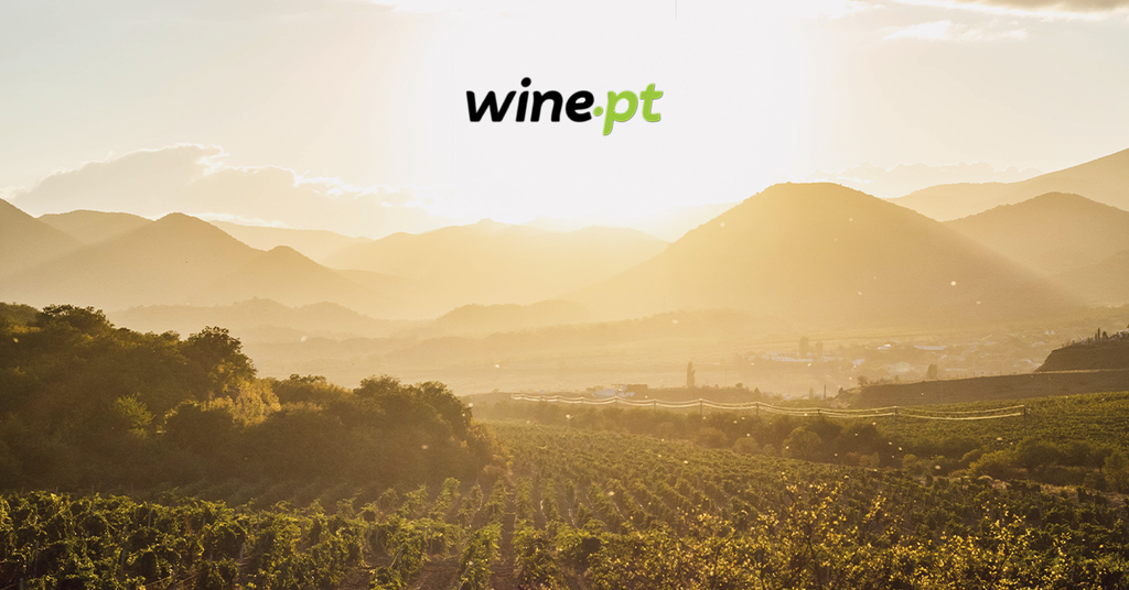 Portugal, País de Uvas e Vinhos…, por Tiago Macena